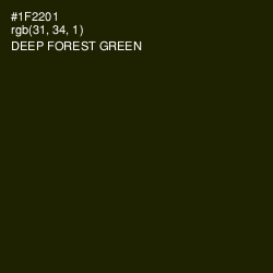 #1F2201 - Deep Forest Green Color Image